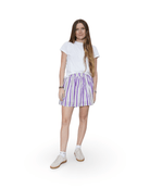 Gray Stripe Panel Mini Skirt - Sur La Vague